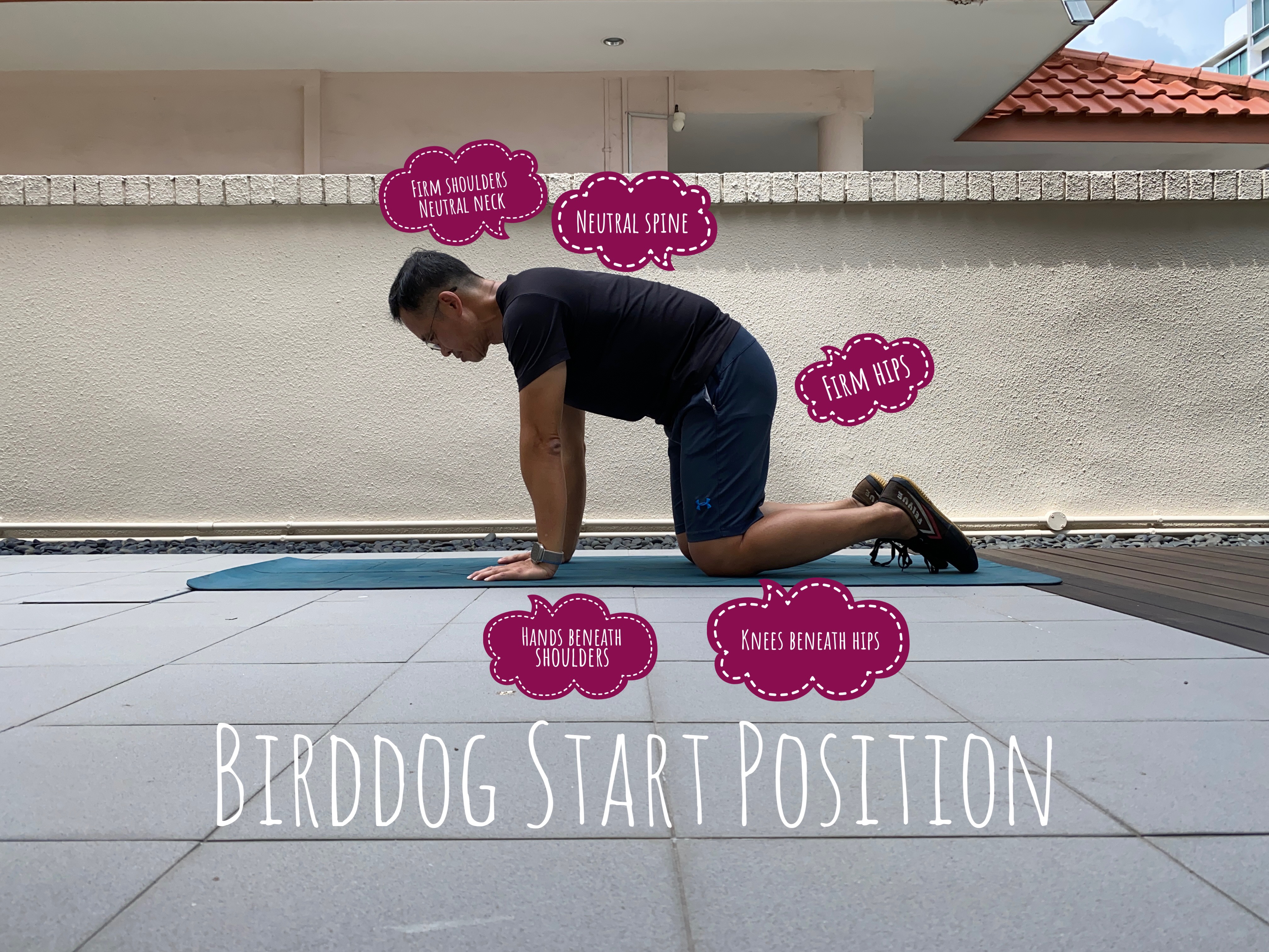 Birddog Start Position